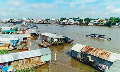 Một sớm trên chợ nổi Cái Răng